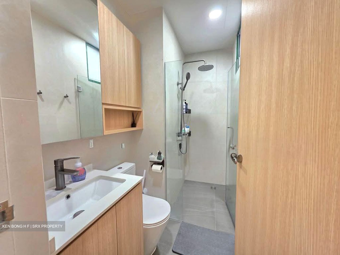 Signature Park (D21), Condominium #610653311